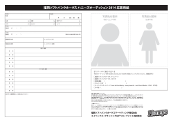 福岡ソフトバンクホークス ハニーズオーディション 2014 応募用紙