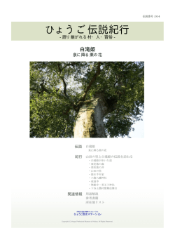 250KB - 兵庫県立教育研修所