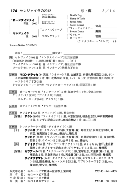 ﾌﾞﾗｯｸﾀｲﾌﾟ