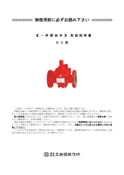 IS-DX09-04