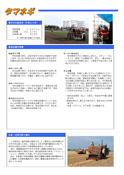 JA管内の栽培状況
