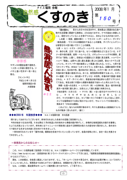 自然感くすのき 150号 - ナイス福岡