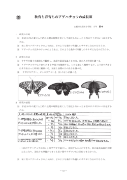 秋育ち春育ちのアゲハチョウの成長Ⅲ 委