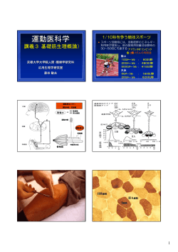 PP - 応用生理学研究室ホームページ - 京都大学