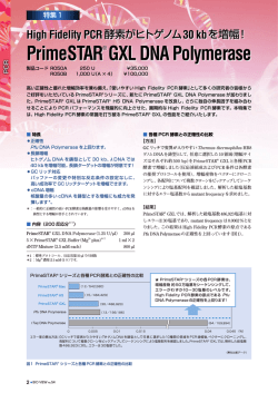PrimeSTAR&reg; GXL DNA Polymerase PrimeSTAR&reg; GXL DNA