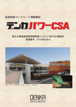 デンカパワーCSAタイプRカタログ