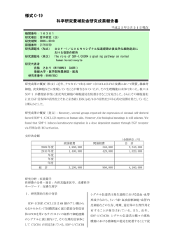 様式 C-19 科学研究費補助金研究成果報告書 - KAKEN - 科学研究費