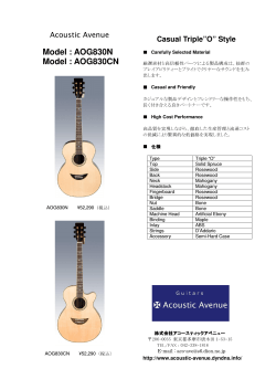 AOG830ブローシャ - Guitars Acoustic Avenue