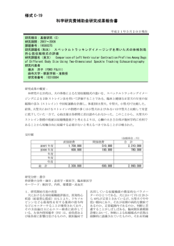 様式 C-19 科学研究費補助金研究成果報告書 - KAKEN - 科学研究費