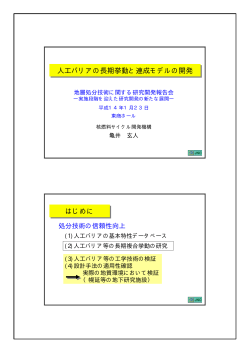 ［スライド］（PDF：743KB） - 日本原子力研究開発機構