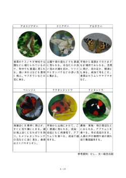 陸上昆虫類図鑑（PDFファイル）