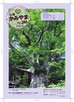 主な内容 - 神山町