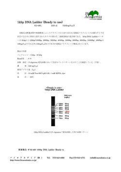 DNA分子量マーカー, 1 kbp DNA Ladder