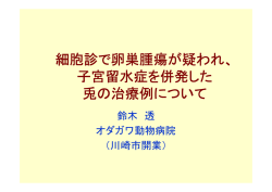 細胞診で卵巣腫瘍が疑われ、 子宮留水症を併発した 兎の治療例について