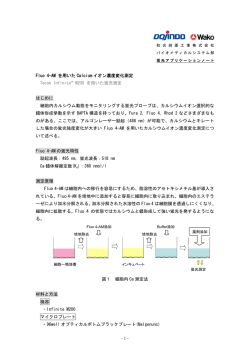 Fluo4-AMおよびクエンチャーを用いたCalciumイオン濃度測定