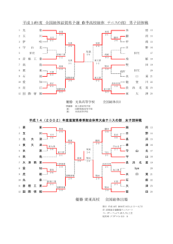 平成14年度 全国総体滋賀県予選（春季高校総体 テニスの部） 男子団体