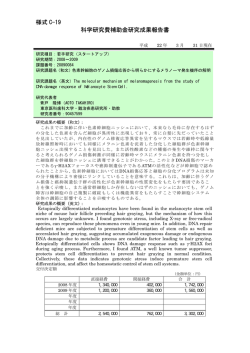 様式 C-19 科学研究費補助金研究成果報告書 - KAKEN - 科学研究費
