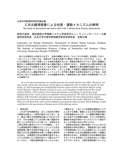 三次元錯視現象による知覚・運動メカニズムの解明 - 日産財団