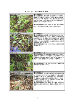 分割7（PDF：1770KB）