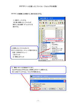 ﾂｰﾙを使ったファイル・フォルダの削除 FFFTP
