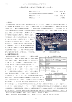 小余綾高架橋への電気化学的脱塩の適用とその施工 - 土木学会