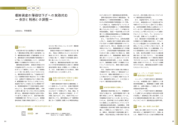 棚卸資産の簿価切下げへの実務対応 ― 会計と税務との調整 ―