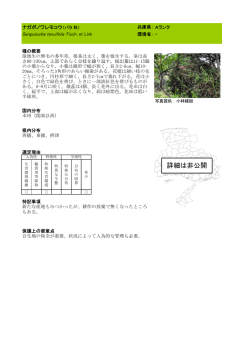 ナガボノワレモコウ - 兵庫県