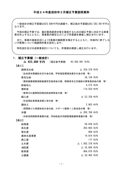平成24年度成田市3月補正予算説明資料 1．補正予算額（一般会計