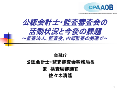 講演資料 - 金融庁