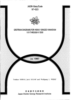JAERI-Data-Code-97-023.pdf:1.53MB