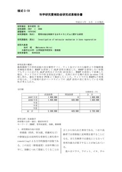様式 C-19 科学研究費補助金研究成果報告書 - KAKEN - 科学研究費