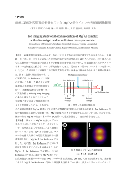 1P009 直線二段反射型質量分析計を用いた Mg Ar 錯体イオンの光解離