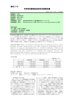 様式 C-19 科学研究費補助金研究成果報告書 科学研究費補助金研究