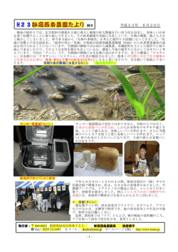 H23妙高西条農園たより NO3