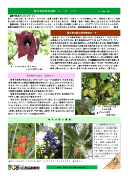 夢の島熱帯植物館 ニュース vol.7 - 夢の島公園 夢の島熱帯植物館