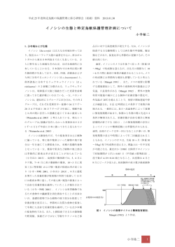 講義資料:327KB