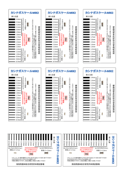 カシナガスケール(PDFファイル 1361KB)