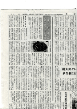 妻垂妻fCo墓蔓警藁蓋慧裏蓋慧蓋,Yf蓋姦墓葦嚢垂至芸撃墓藁嚢要撃墓墓