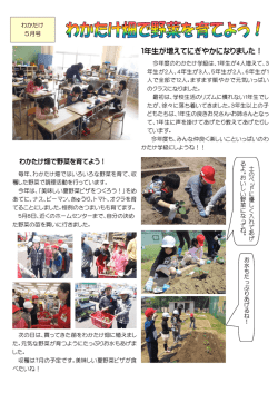 4/5月