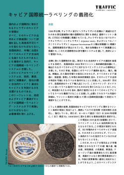 キャビアの国際統一ラベリング・システムに関する資料（PDF）