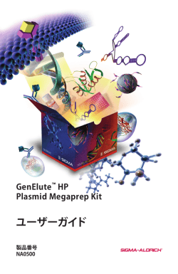 GenElute™ HP Plasmid Megaprep Kit ユーザーガイド - Sigma-Aldrich