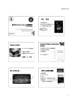 歩行のメカニズムと歩様解析 - 埼玉動物医療センター