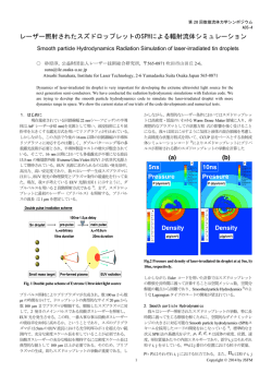 レーザー照射されたスズドロップレットのSPHによる輻射流体