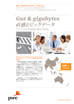 Gut & gigabytes 直観とビッグデータ アジア太平洋地域に関する知見 - PwC