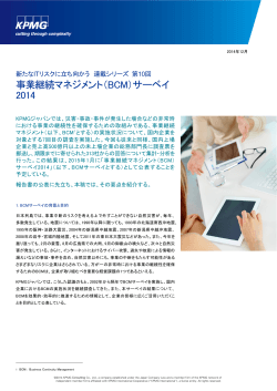 日本語PDF：313kb - KPMG