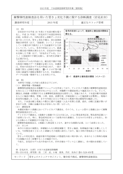 衝撃弾性波検査法を用いた管きょ劣化予測に関する診断調査（岩見沢市）
