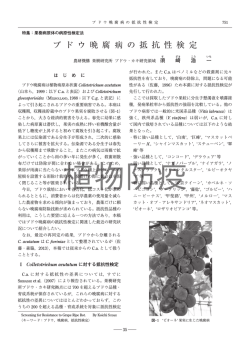 ブドウ晩腐病の抵抗性検定