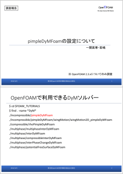 pimpleDyMFoamの設定について