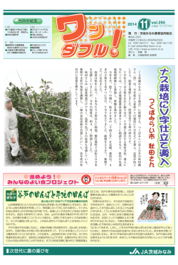 谷戸の田んぼと平地の田んぼ - JA茨城みなみ