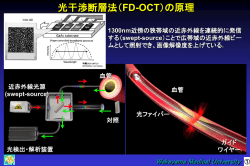 資料1（PDFファイル）